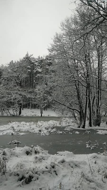 Staw Wielopole - Image 1