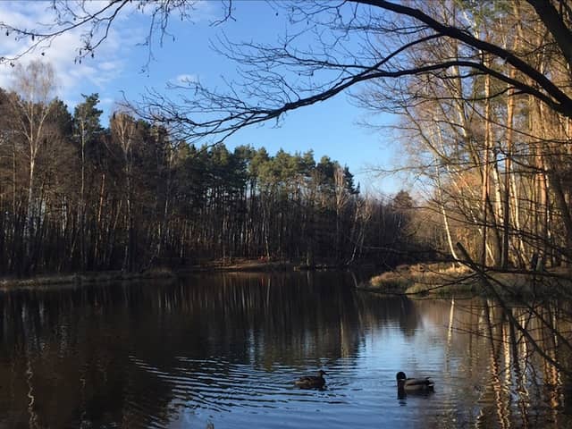 Staw Wielopole - Image 2