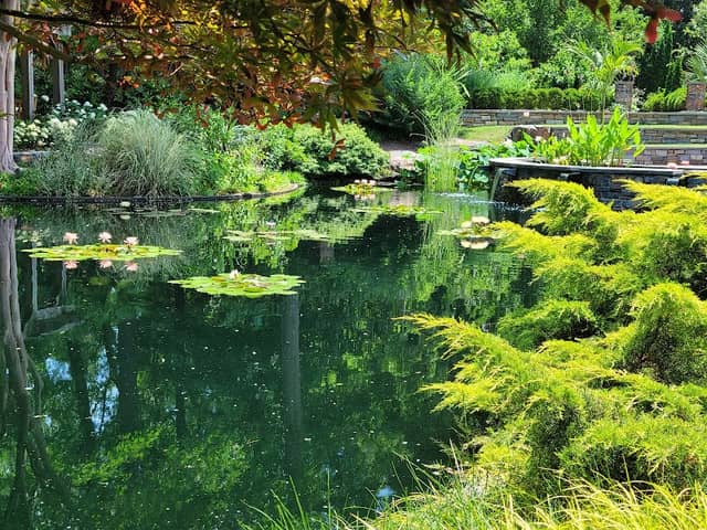 Sarah P. Duke Gardens - Image 3