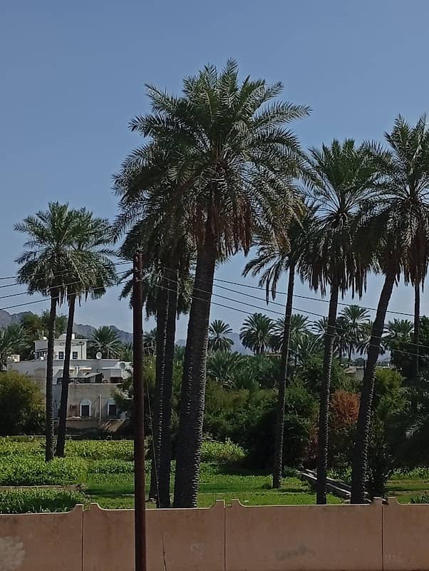 مصب وادي الحواسنة - Image 2