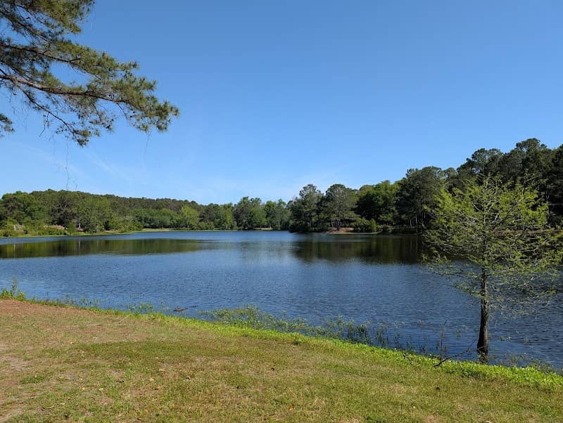 Jarvis Creek Park - Image 3