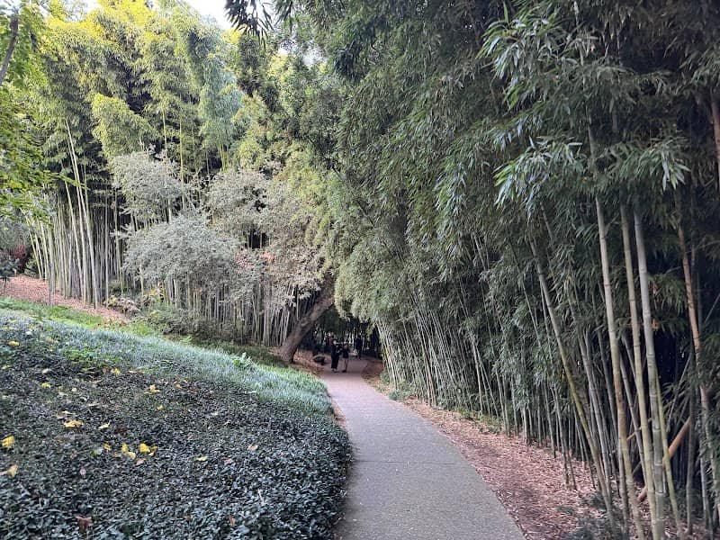 The Huntington Australian Garden - Image 2