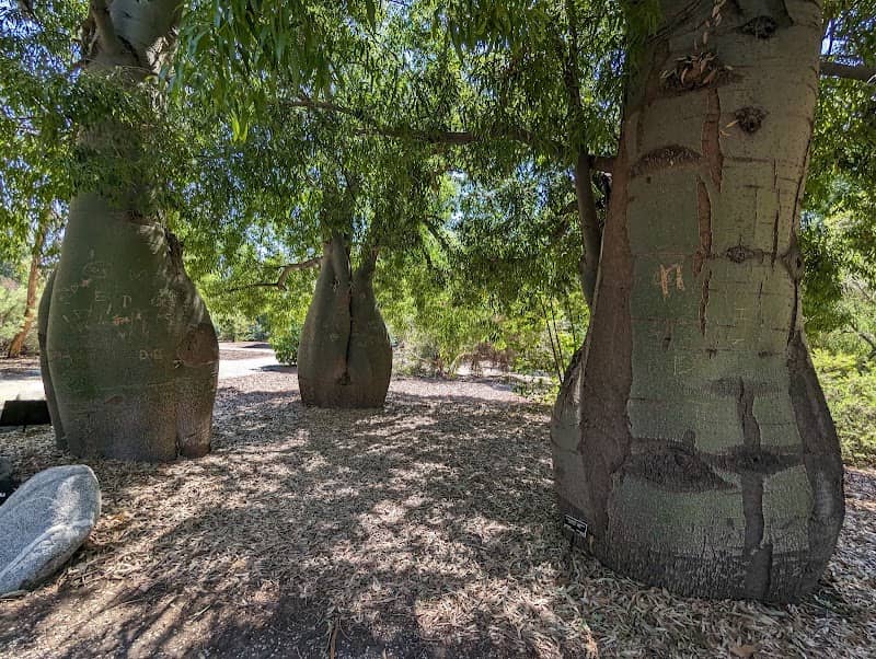 The Huntington Australian Garden - Image 1