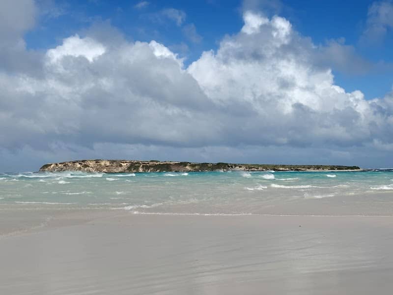 The Beach - Image 1
