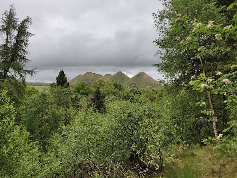 Addiewell Bing Nature Reserve - Image 1