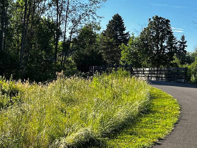 Fanno Creek Greenway Bridge - Image 2