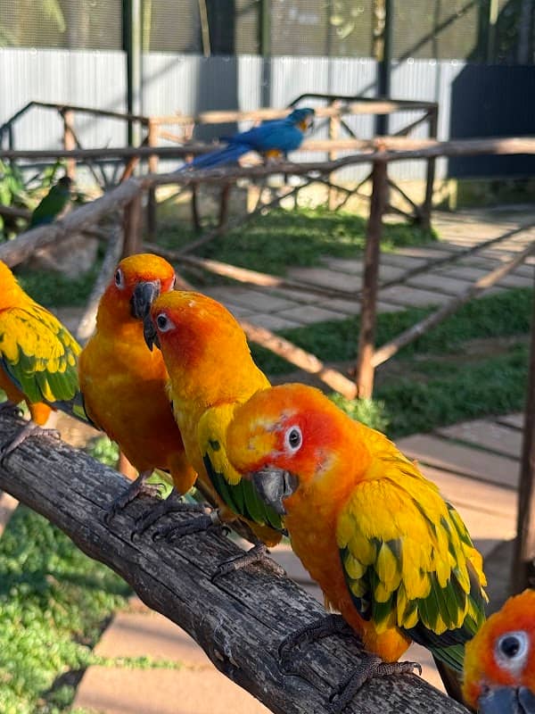 Era Park Perinthalmanna - Image 1