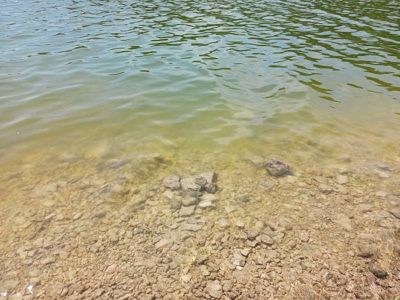Chimney Rock Hollow - Image 2