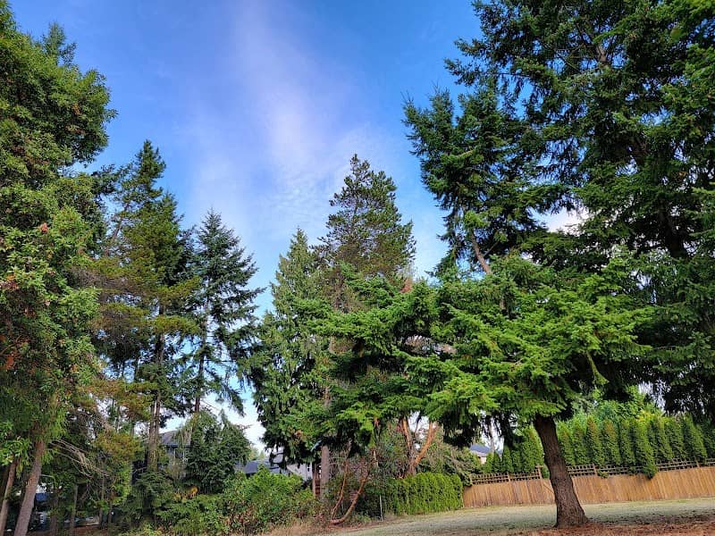 Carmanah Park - Image 2