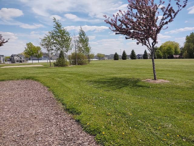 Nannyberry Park - Image 1