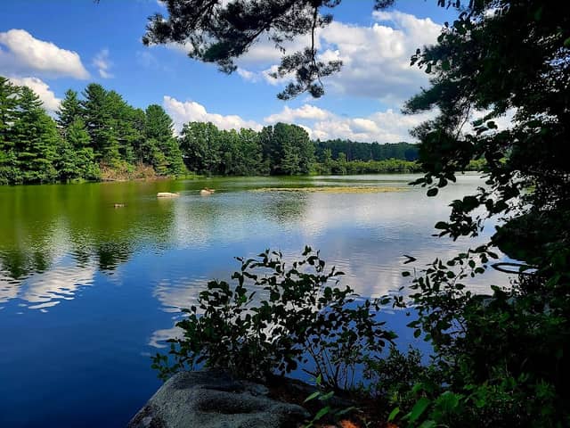 Ludlow Reservoir Shoreline Trail - Image 2