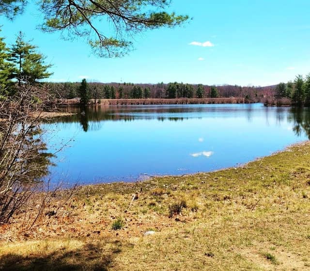 Ludlow Reservoir Shoreline Trail - Image 1