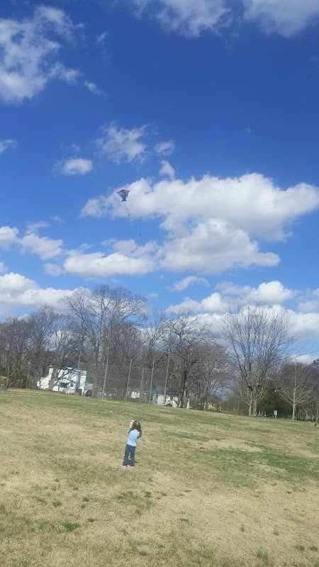Pedigo Park - Image 2