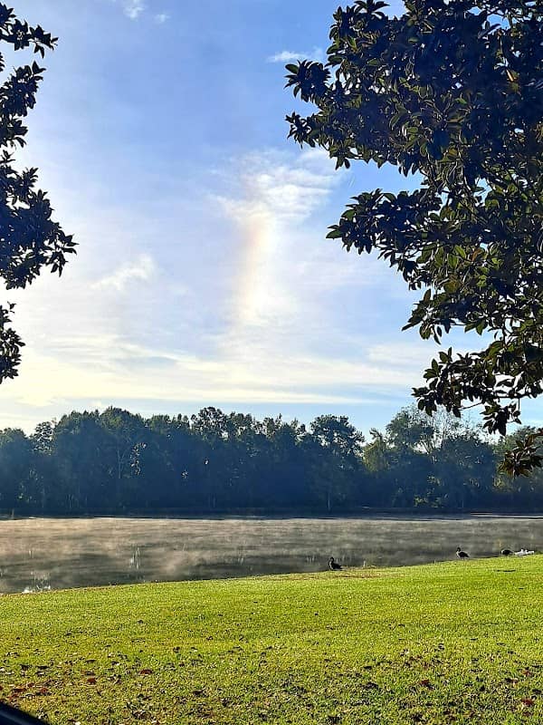 Cassidy Road Park - Image 1