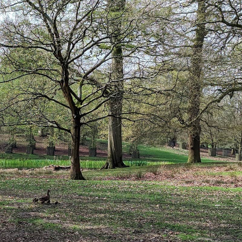 Dunham Park - Image 1