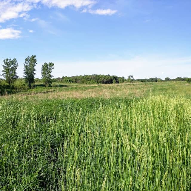 Hodges and North Wildlife Area - Image 1