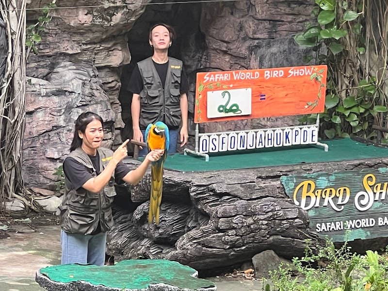 Bird Show - Image 1