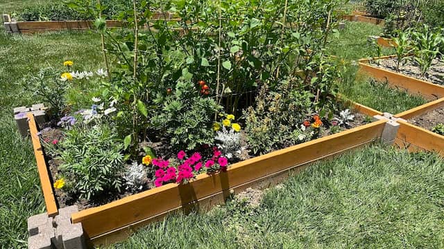 Lake Christine Community Garden - Image 2