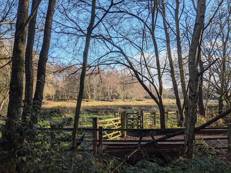 Whitehouse Meadow - Image 1