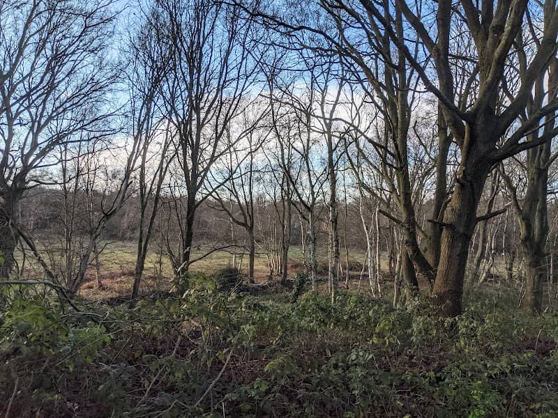 Whitehouse Meadow - Image 2