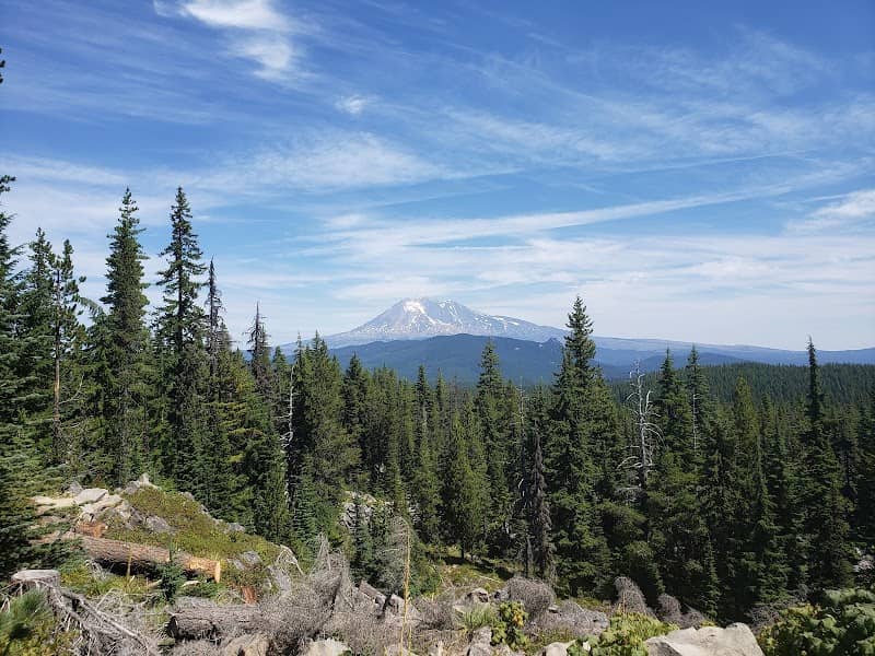 Mt. Adams Ranger District - Image 1