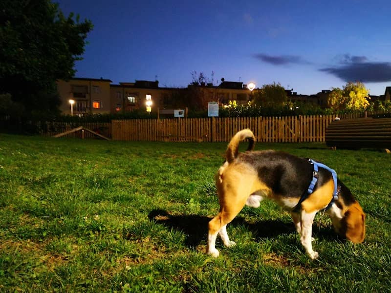Dog Park - Image 1
