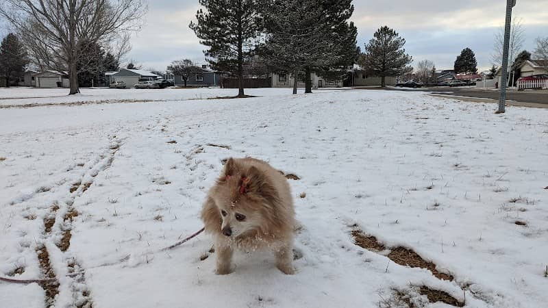 Greenbriar Park - Image 1
