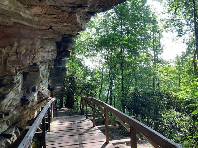Main Overlook - Image 1