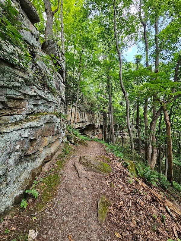Main Overlook - Image 2