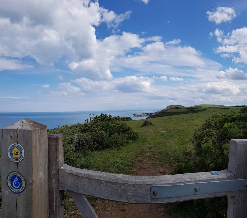 Coast Path - Image 3