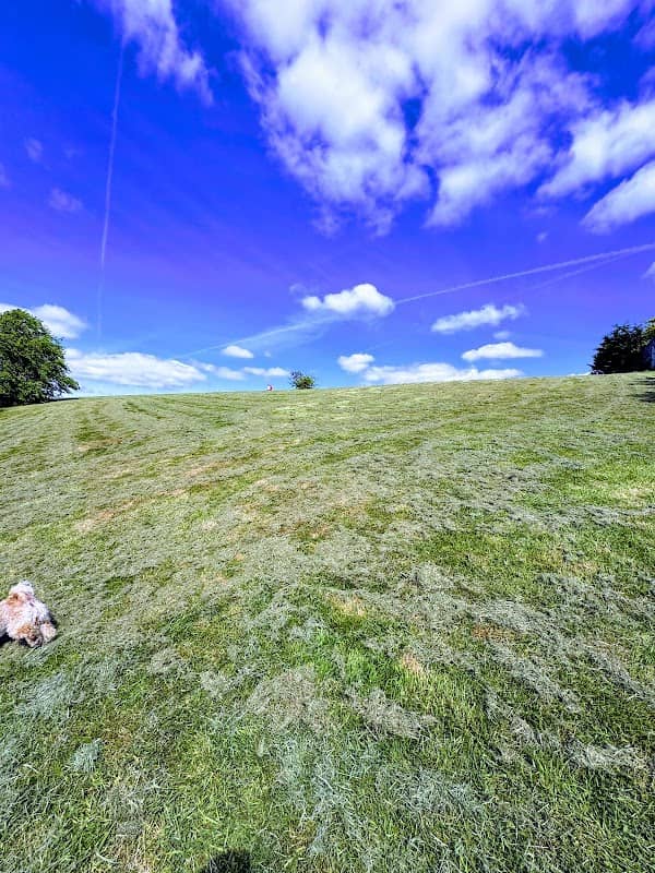 Saucelhill Park - Image 2
