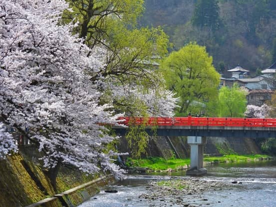 Nakabashi Park - Image 3