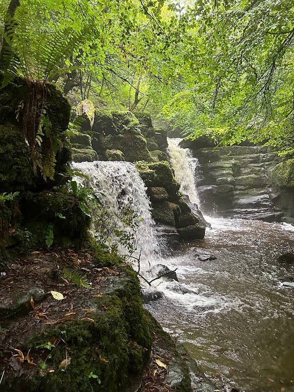 Clydach Gorge - Image 1