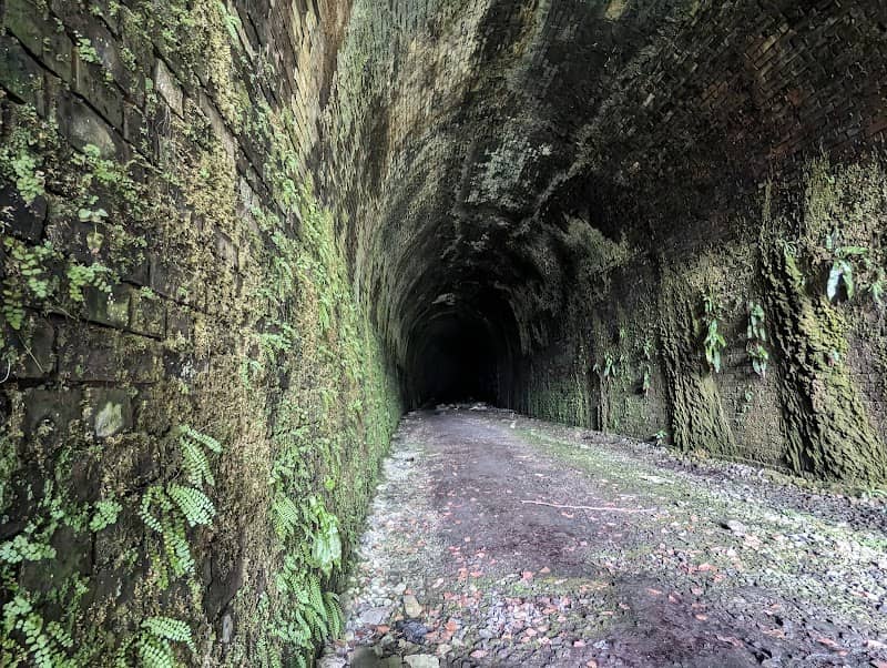 Clydach Gorge - Image 2