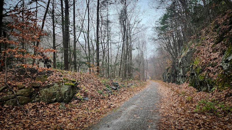 Columbia Trail (High Bridge) - Image 2