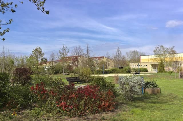 Bürgergarten Neu Schmellwitz - Image 1
