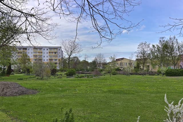 Bürgergarten Neu Schmellwitz - Image 2