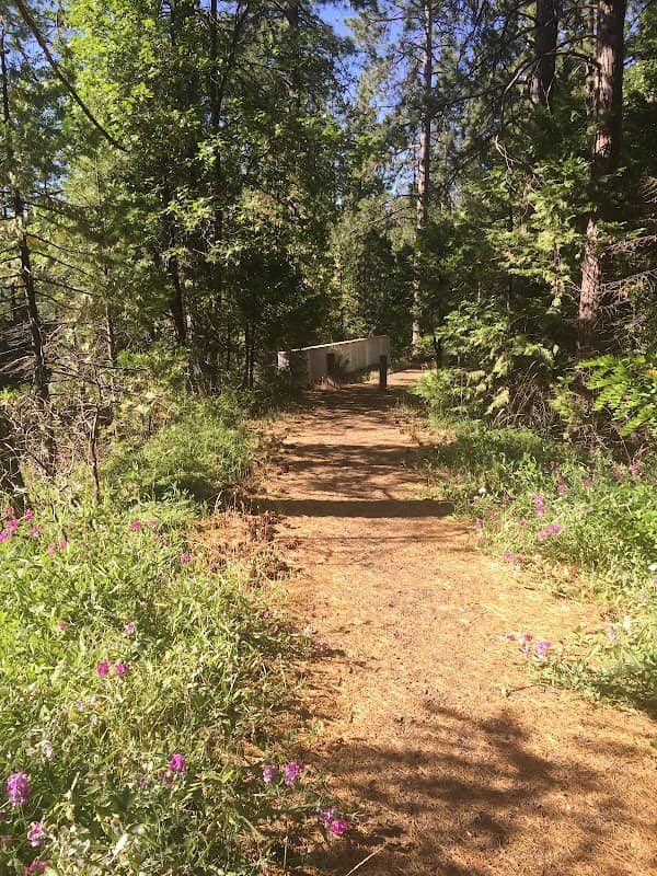 Sugar Pine Railroad Grade - Image 1