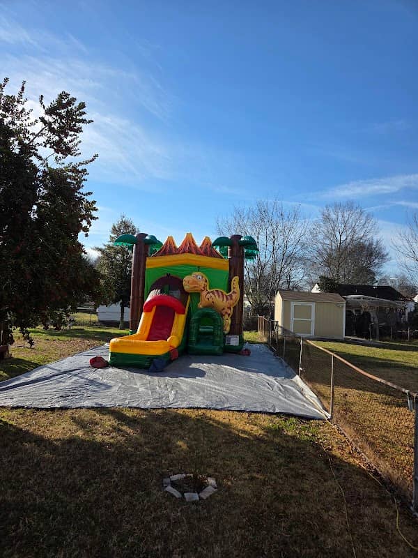 Running Wild Inflatables - Image 1