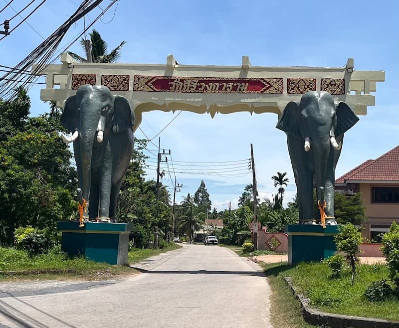The Elephant Gate - Image 1