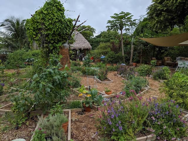 Delray Beach Children's Garden - Image 2