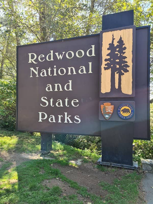 Redwood National and State Parks - Image 1