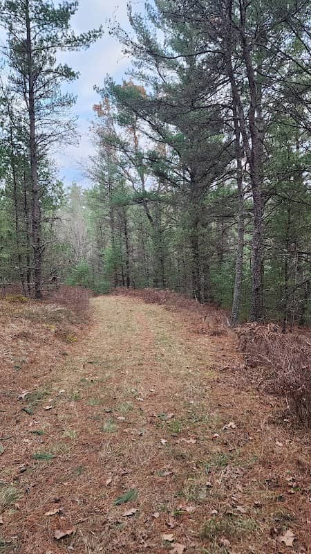 Corsair Trail - Image 1