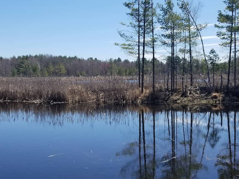 Hyla Park Nature Preserve - Image 2