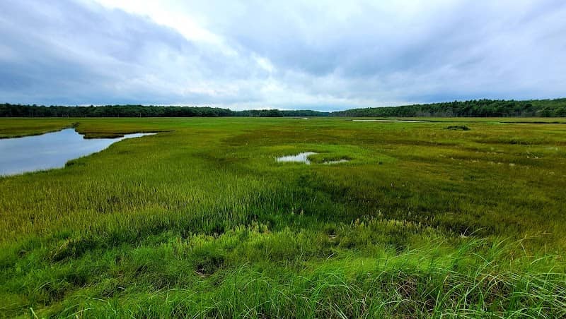 Goosefare Brook Observation Deck - Image 2