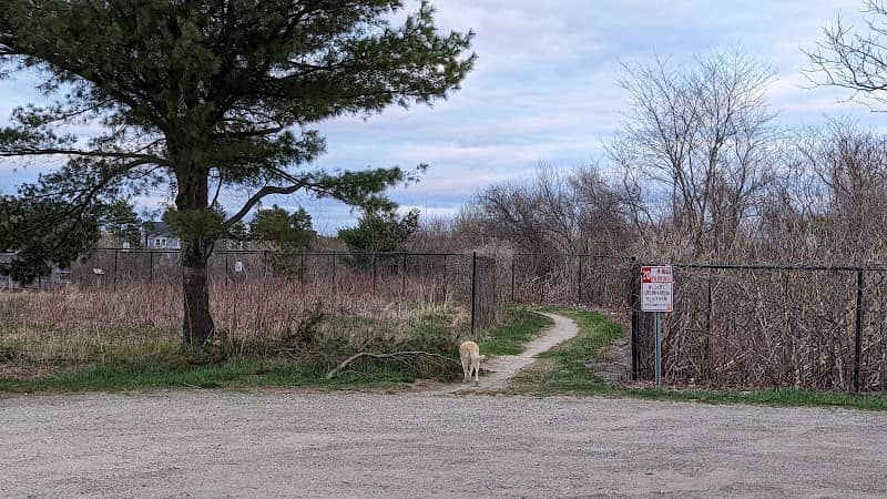 Goosefare Brook Observation Deck - Image 1