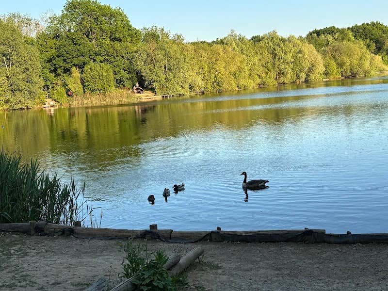Haysden Country Park - Image 1