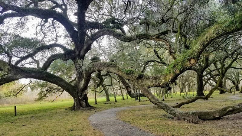 J.J. Mayes Trace Park - Image 2
