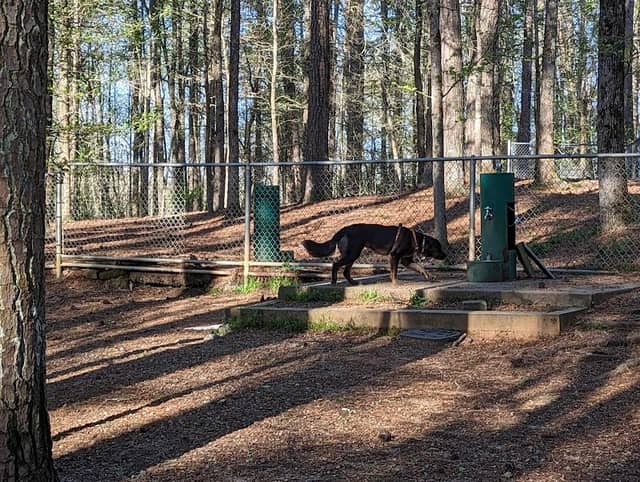 Fowler Dog Park - Image 1
