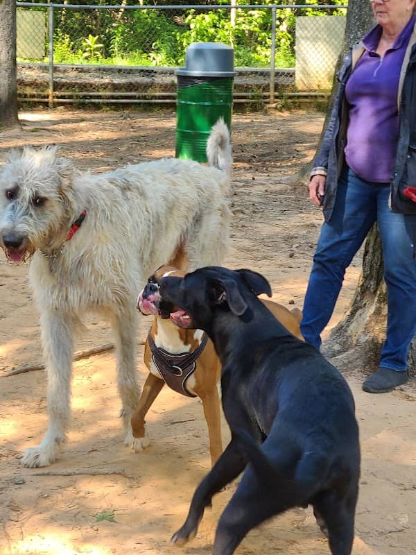 Fowler Dog Park - Image 2
